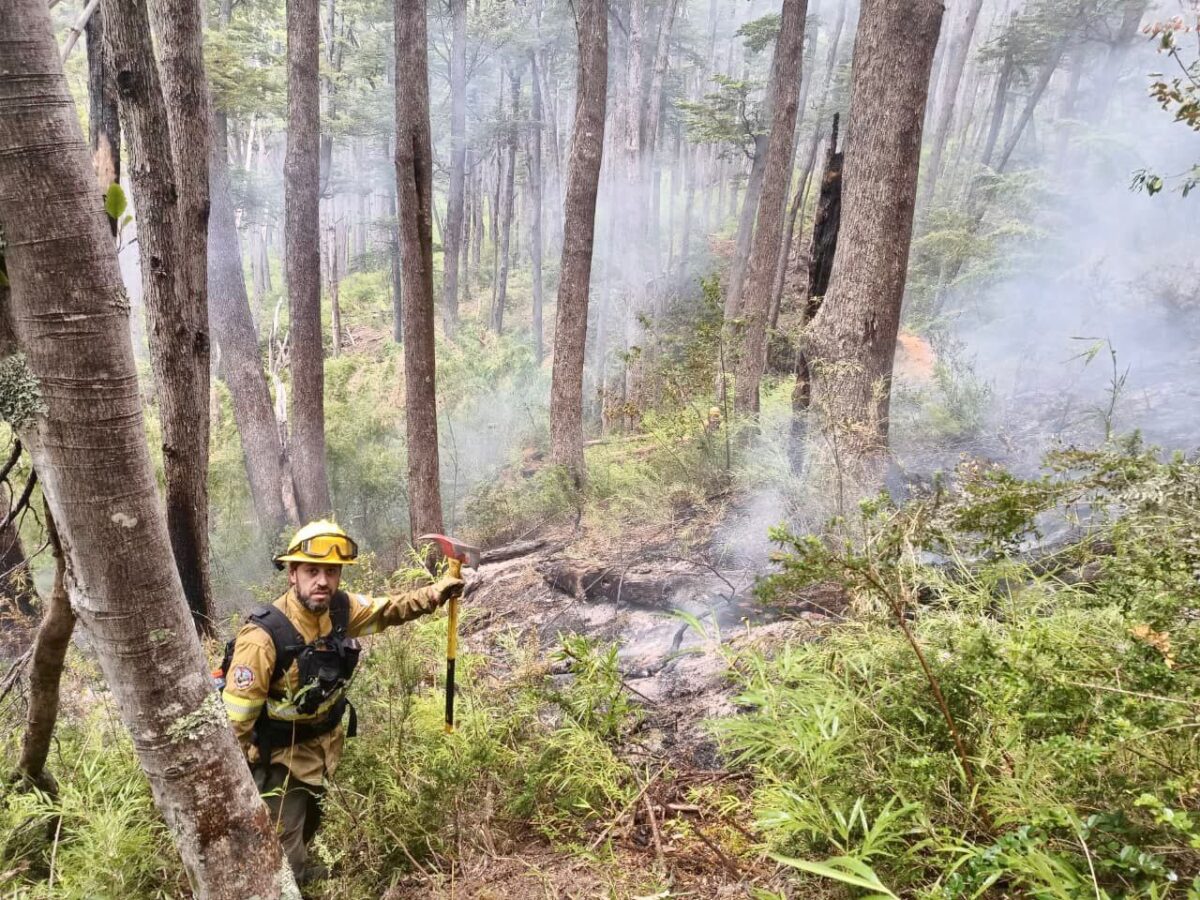 brigada de fuego los alerces