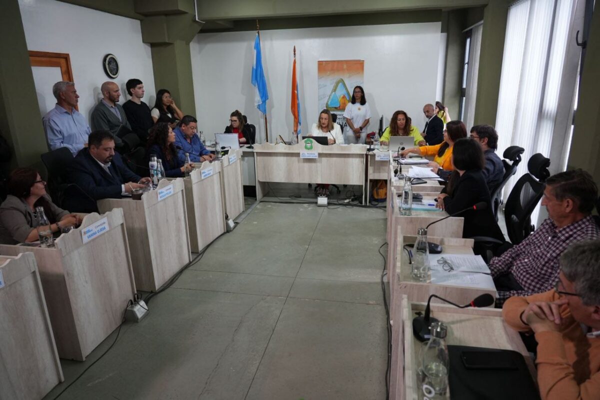 4965571897940708335 (2)