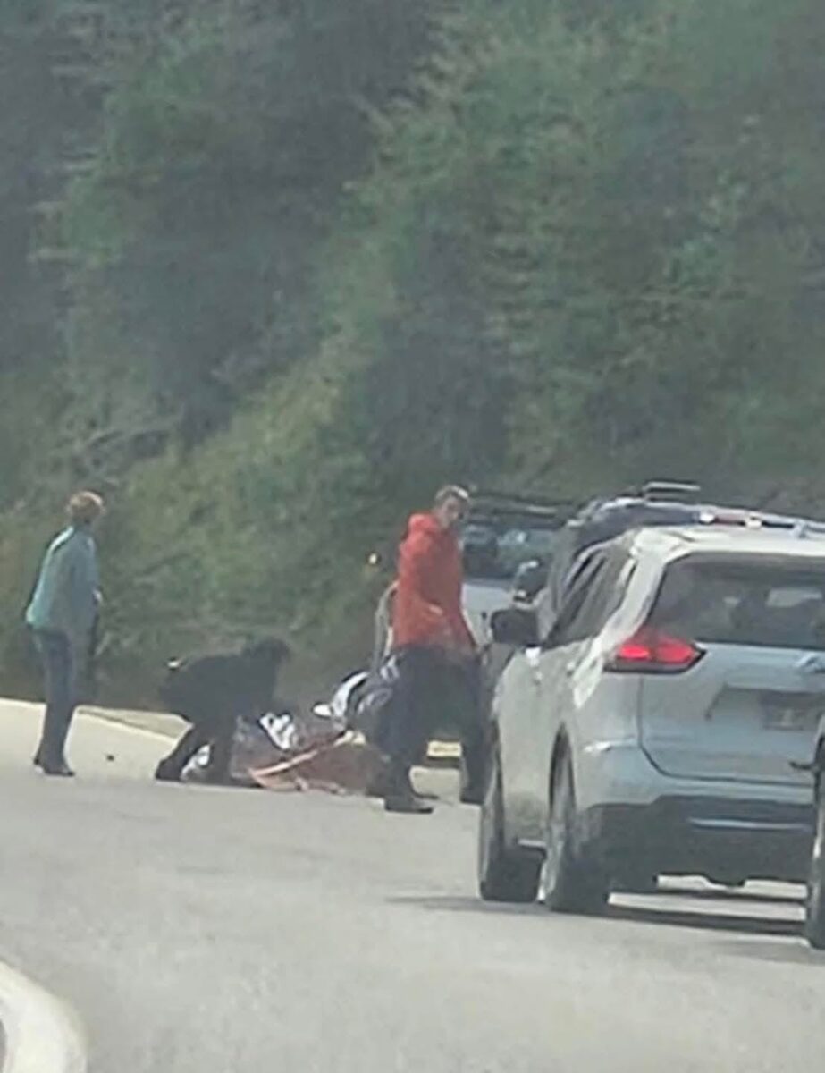 whatsapp image 2026 02 14 at 14.26.26