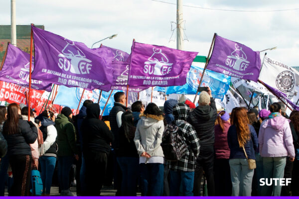 sutef rg