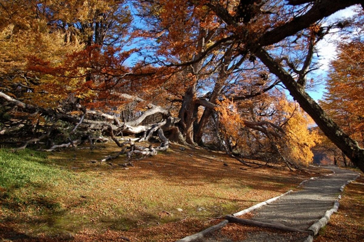sendero a la laguna negra 1280x851